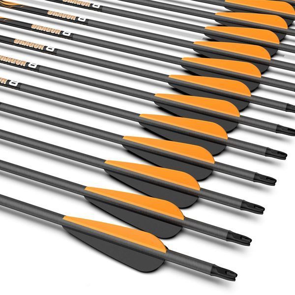 Стріла Sanlida Dragon 8 Compound Carbon Arrows 350 32" 214.003.003 фото