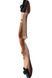 Лук Bearpaw Field Star 70055 фото 2
